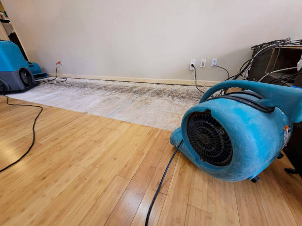 Professional Basement Flood Cleanup technician working in Vernon Center, NJ